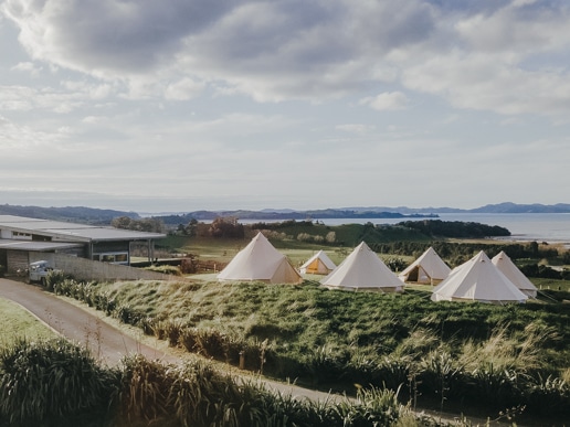 Glamping under the stars with Social Nature Movement